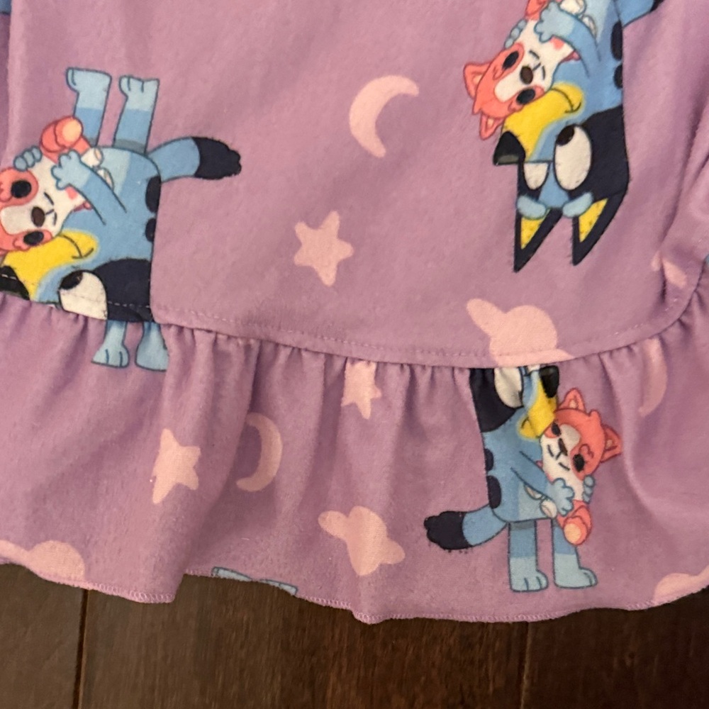 Bundle of Cozy Girls Nightgowns - Bluey and Frozen Anna and Elsa! Today only! - Picture 3 of 15